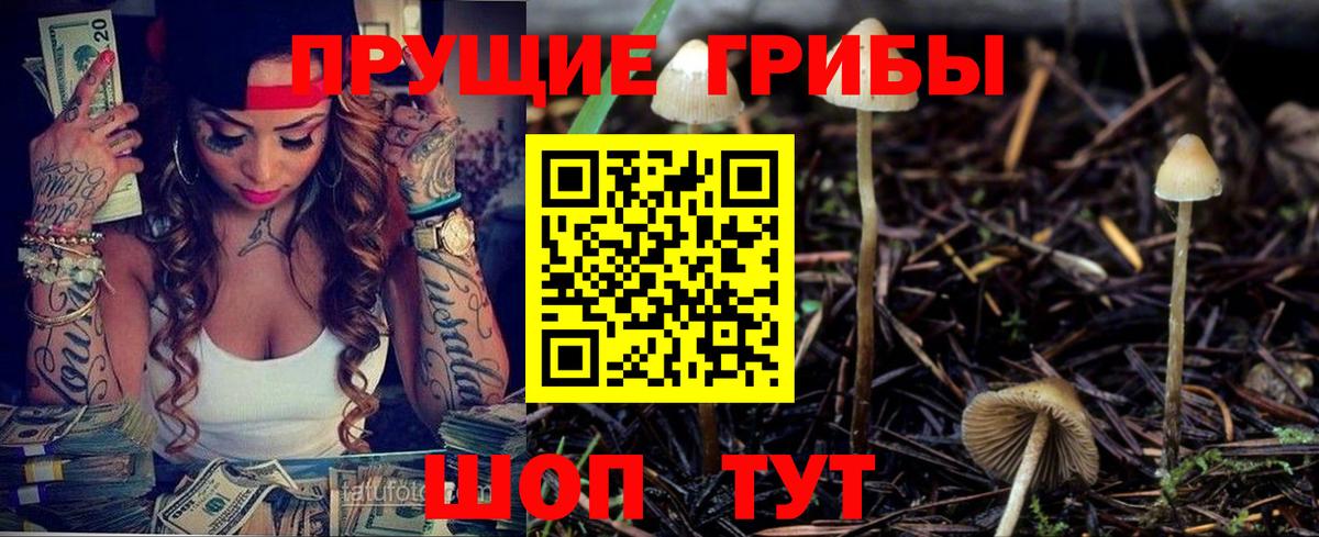 Псилоцибиновые грибы Psilocybine cubensis  Вход с VPN  Саров 